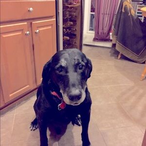 Meet your Posher, Terry